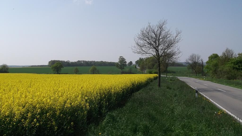 Nigel Restaurant & Hotel Im Wendland Bergen an der Dumme Eksteriør billede